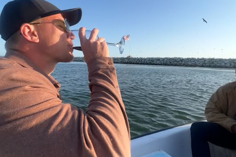 Excursión en barco con leones marinos y guía experimentado BYOB