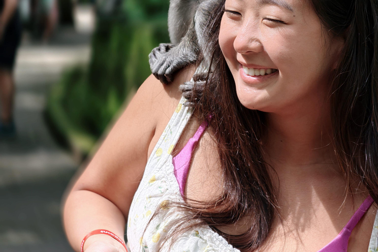 Bali: Private Jungle Swing, Waterfall & Rice Paddy Tour Private Tour with Entrance Fess