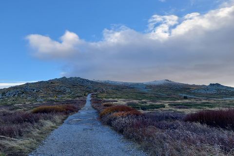 Sofia from above: Vitosha Mountain Private Hike