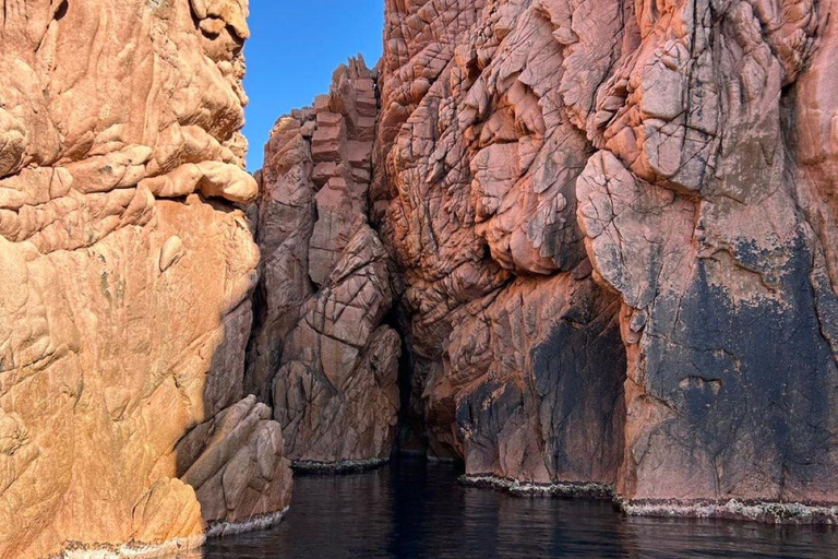Porto: Tour of the Scandola Nature Reserve and the Calanche de Piana