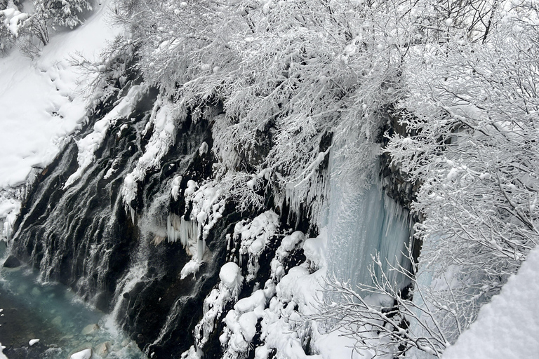 Hokkaido Tour：Asahiyama Zoo &Biei Waterfalls &Ningle Terrace Sapporo TV Tower 1F Information Center Departure