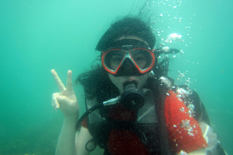 Bali: Scuba Diving For Beginner Experience