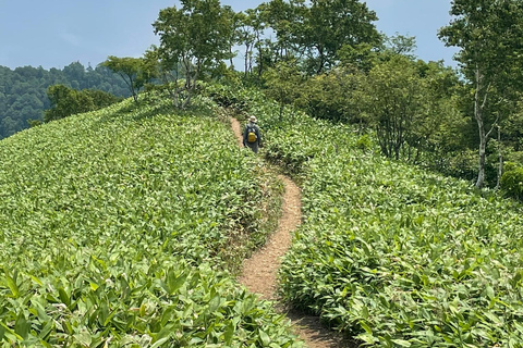 Hokkaido: Half Day Backcountry Hiking Tour with Onsen Hokkaido:Half Day Backcountry Hiking Tour with Onsen
