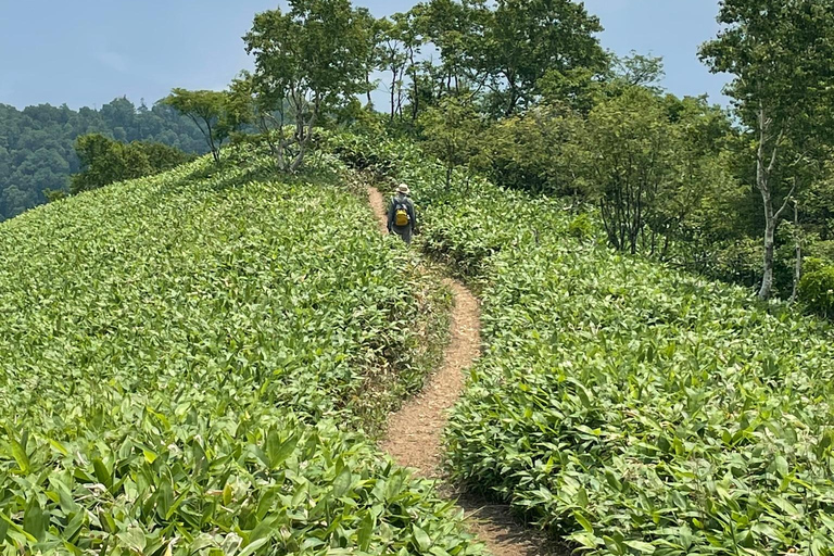 Hokkaido: Half Day Backcountry Hiking Tour with Onsen Hokkaido:Half Day Backcountry Hiking Tour with Onsen
