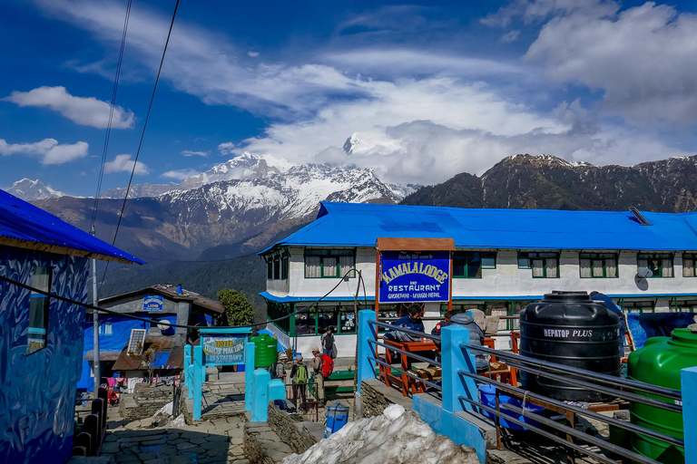 Pokhara: Excursión de 4 días a Poon Hill con alojamiento