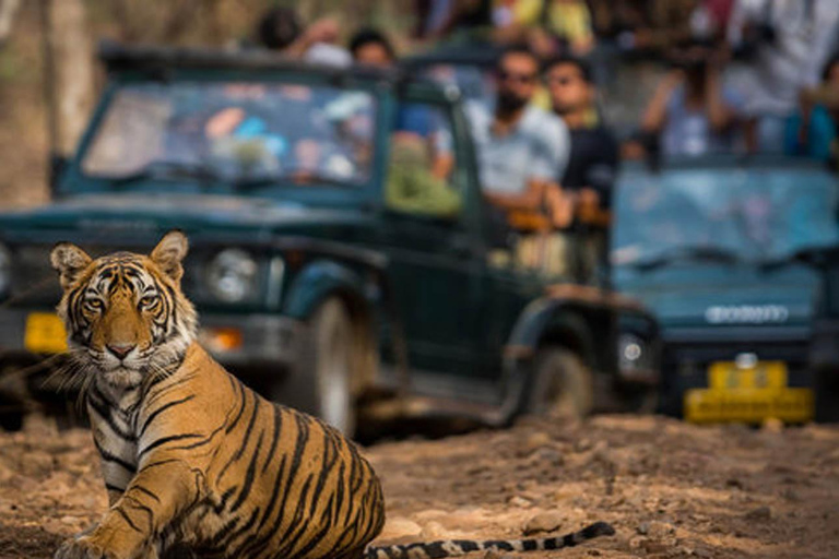 Ranthambore National Park 3-daagse met safariritten