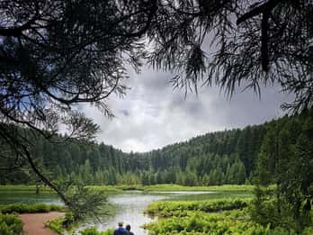 São Miguel: Sete Cidades and Crater Lakes Hike