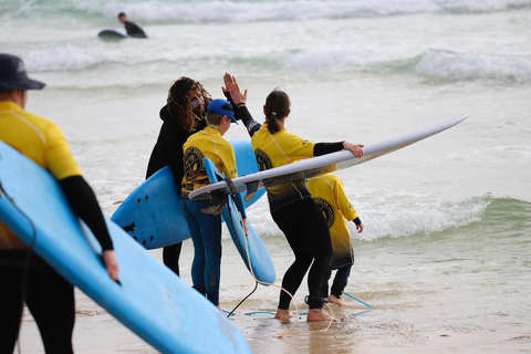 Fuerteventura: 3-dagars surflektion för nybörjare i Corralejo