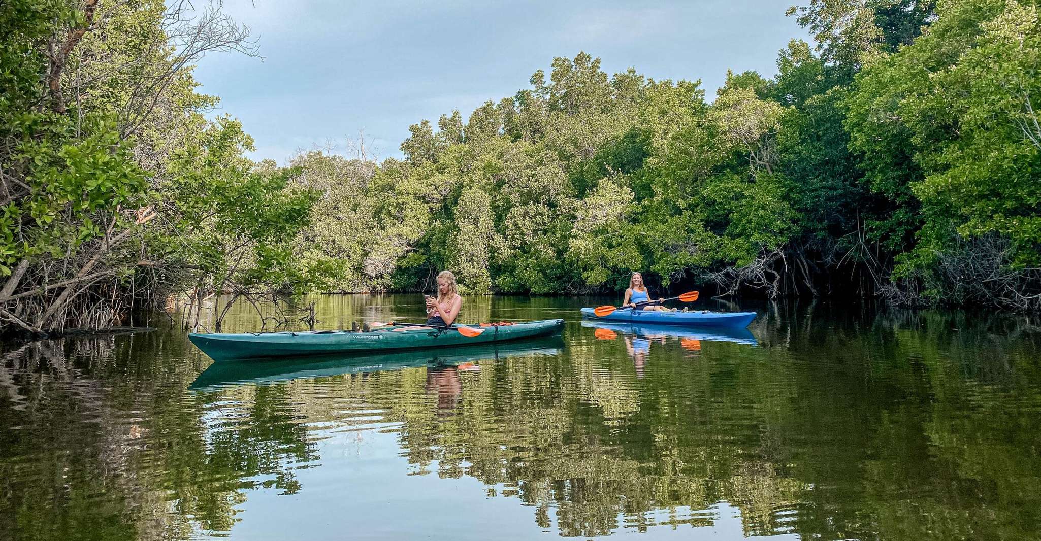 Doha: North Qatar Tour, Mangroves, & Zubara Fort and purple photo 2
