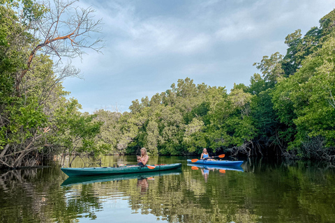 Doha: Tour del Qatar settentrionale, mangrovie, forte di Zubara e viola