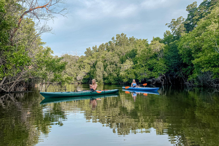 Doha: Tour del Qatar settentrionale, mangrovie, forte di Zubara e viola