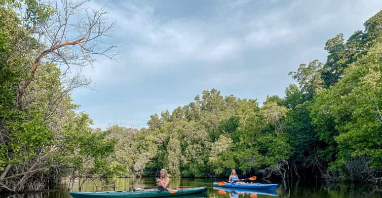 Doha: North Qatar Tour, Mangroves, & Zubara Fort and purple photo 2