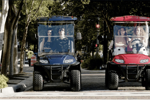 Fort Lauderdale Alquiler de carrito de golf para 6 personasAlquiler de 8 horas