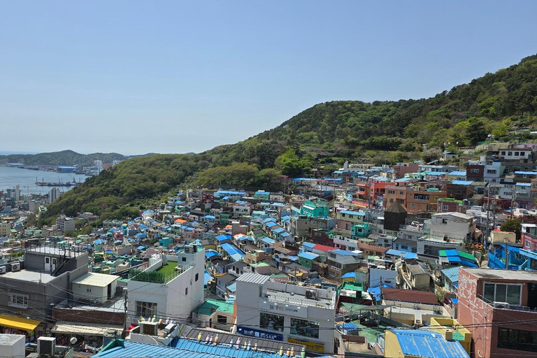 Busan: Private Shore Excursion with Licensed Local Guide