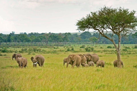 From Durban: 7-Day Wild Coast & Garden Route to Cape Town
