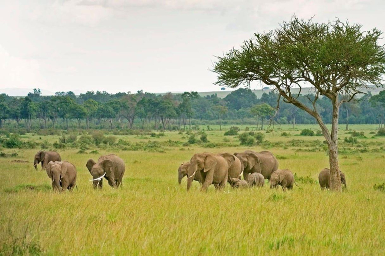 From Durban: 7-Day Wild Coast & Garden Route to Cape Town