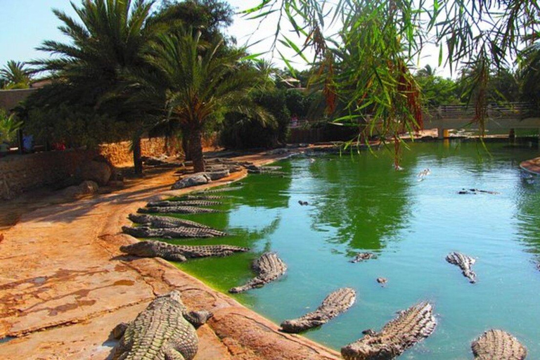 Djerba: Visit to the park and crocodile farm with transportation included