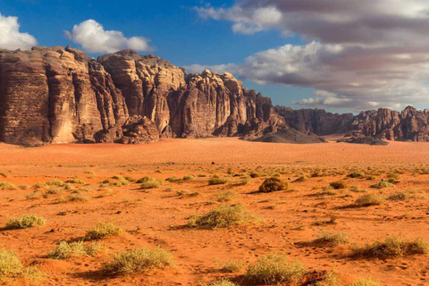 Wadi Rum: 4x4 Jeep Tour 6u met zonsondergang &amp; met overnachting