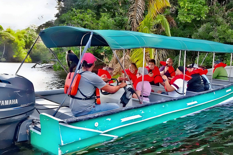 Feed Wild Monkeys on Panama Canal at Monkey Island Adventure No Hotel Pickup