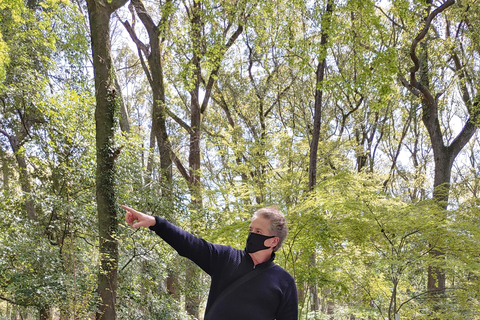 Kioto:Recorrido en Bicicleta por los Tres Jardines