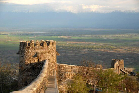 Tbilisi: Kakheti Wine Region Day Trip with Tastings