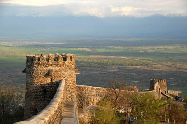 Tbilisi: Kakheti Wine Region Day Trip with Tastings
