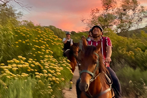 Vrede en Lust Wine Estate:1-Hour Horseback Riding Experience