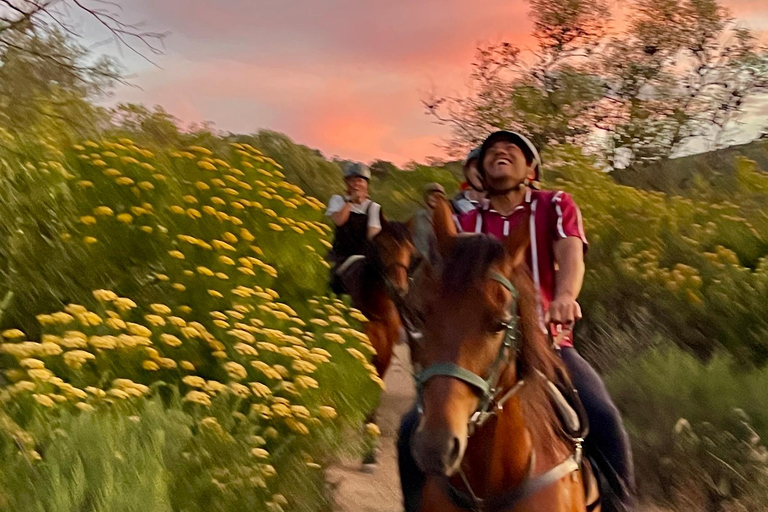 Vrede en Lust Wine Estate:1-Hour Horseback Riding Experience