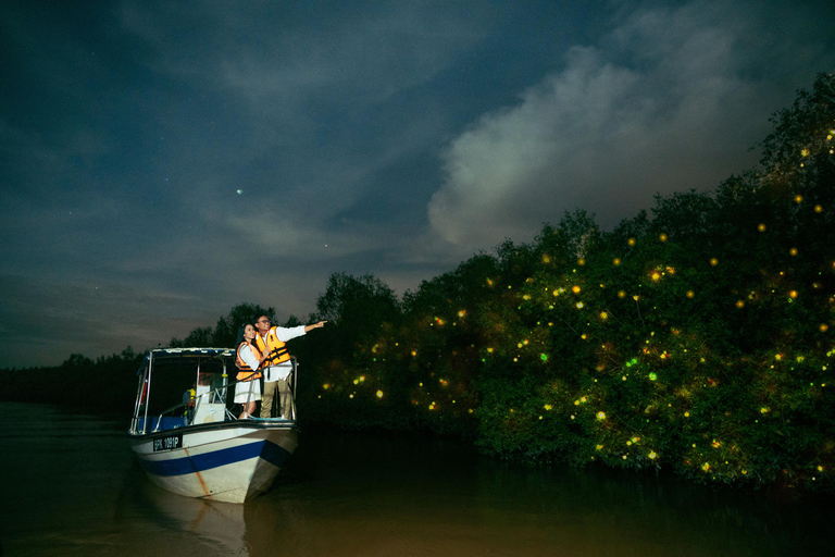 Kuala Selangor: Tour delle lucciole e delle lacrime blu