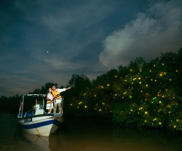 Kuala Selangor: Firefly and Blue Tears Tour