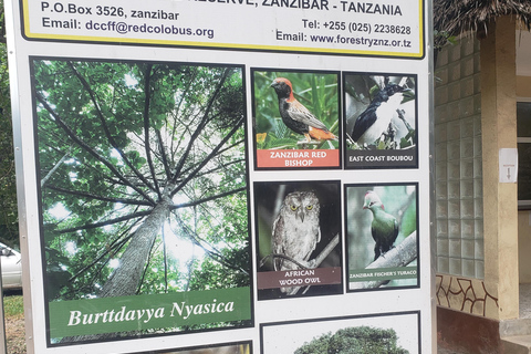 Zanzibar: Jozani forest, Butterfly center & Salaam cave tour Tour with Hotel pick up and drop off included