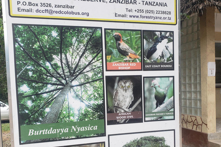 Zanzibar: Jozani forest, Butterfly center & Salaam cave tour Tour with Hotel pick up and drop off included