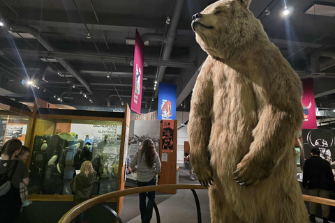 Fairbanks: City Highlights Tour with Museum Entry
