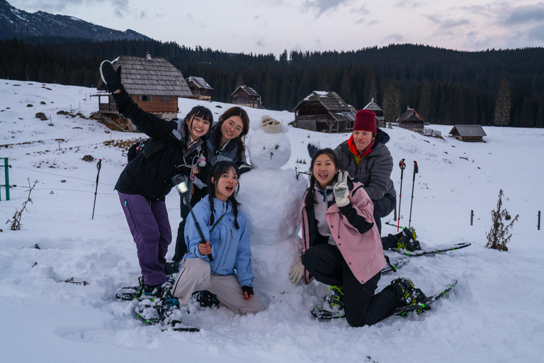 From Ljubljana/Bled: Beginner Snowshoe in Julian Alps From Bled - pickup at your accommodation