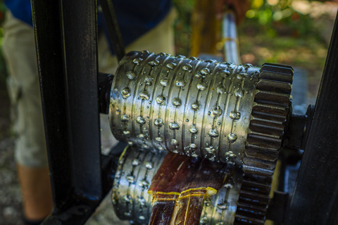 لا فورتونا: جولة الكسلان في متنزه بركان أرينال ووجبة خفيفة محلية