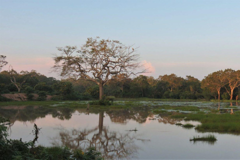 Sri Lanka: 12-tägige Tour mit Entdeckung des reichen Erbes