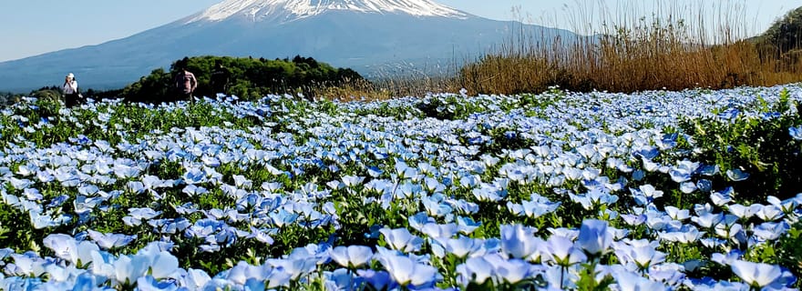 Visite privative personnalisable d'une journée au mont Fuji depuis Yokohama
