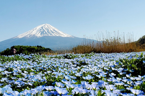 Mount Fuji Full-Day Private Tour from Yokohama Customizable