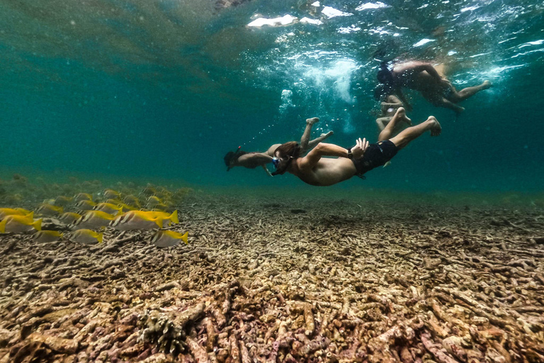 كوه تاو: كوه نانغيوان ورحلة الخلجان المخفية بواسطة الأكسجينرحلة بعد الظهر