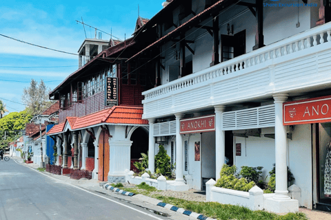 Cochin Private Shore Excursion Expedition with Harbor Cruise