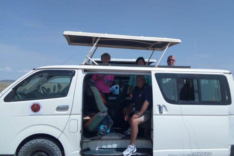 From Mombasa: Day Tour to Tsavo East National Park Day tour to Tsavo East National park from Mombasa or Diani