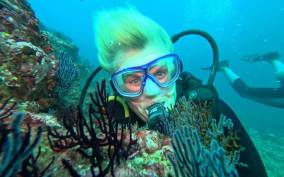 Ixtapa: Discover Diver Course