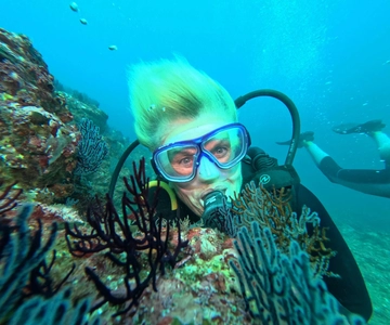 Ixtapa: Discover Diver Course