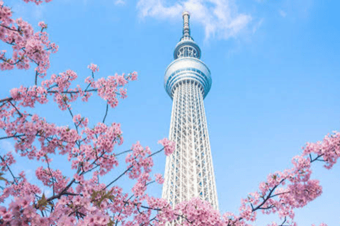 Tokyo: Tokyo Private Tour With hotel pick-up and Drop-off Tokyo Private Customized tour