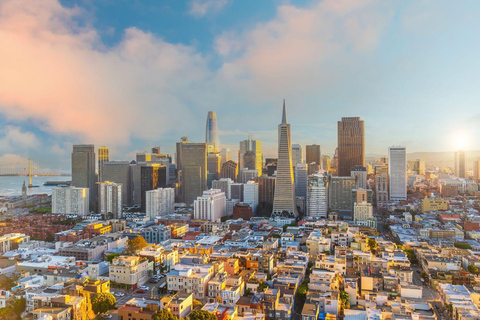 San Francisco: Muir Woods & Sausalito Private Tour