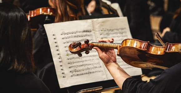 Vienna: Mozart, Beethoven, & Strauss Private Tour