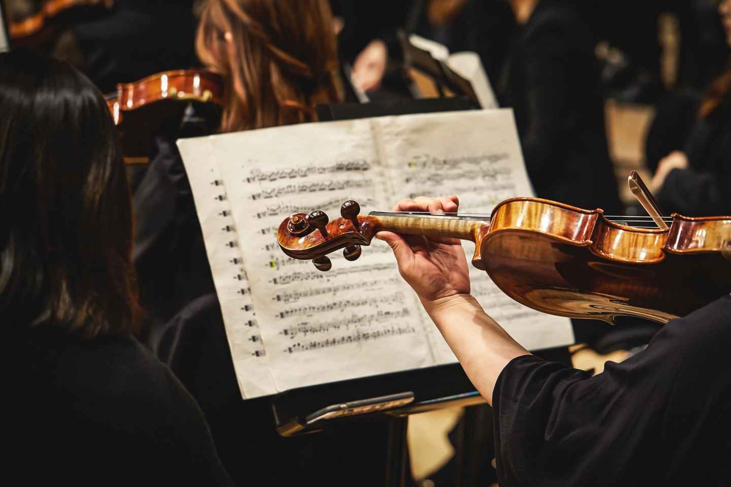 Vienna: Mozart, Beethoven, & Strauss Private Tour - 4-Hour Music Tour of the Old Town