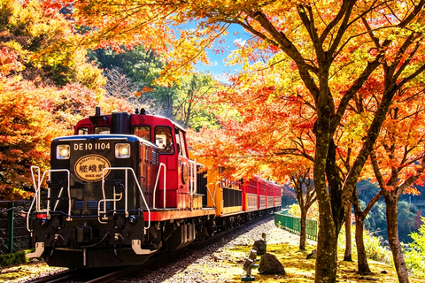 Kyoto: Arashiyama, Sanzen-in & Kifune Shrine Day Trip Departure from Osaka (Basic Package)
