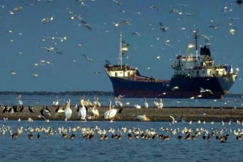 Tour privado de Bucarest al Delta del Danubio en 2 días