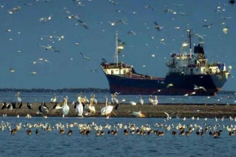 Tour privato da Bucarest al Delta del Danubio 2 giorniTour privato di 2 giorni da Bucarest al Delta del Danubio